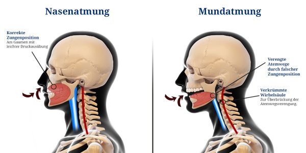 Aktive Nasenatmung Viele Gute Gründe Für Die Atmung Drch Die Nase 